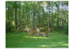 Backyard Listing photo 4