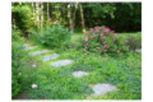 Yard Listing photo 5