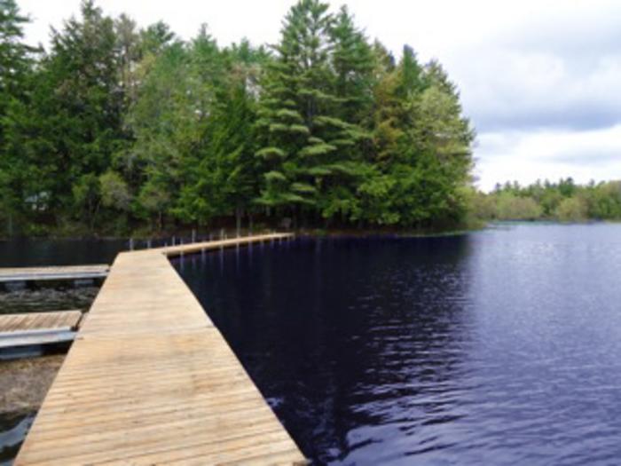 Dock toward Shore Listing photo 13