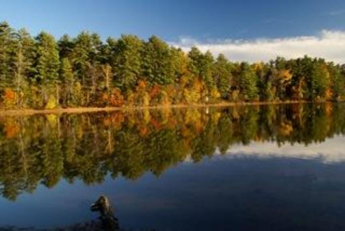 Kettle Cove Listing photo 15